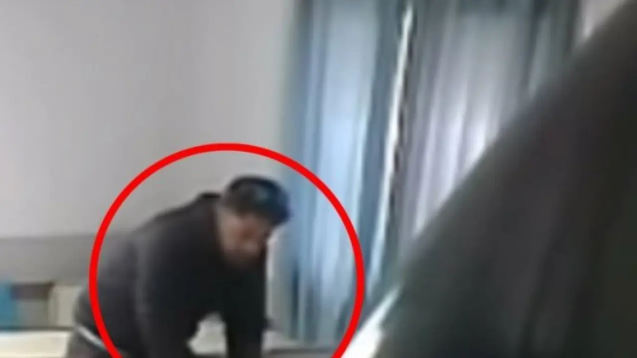 Profesor ladr&oacute;n