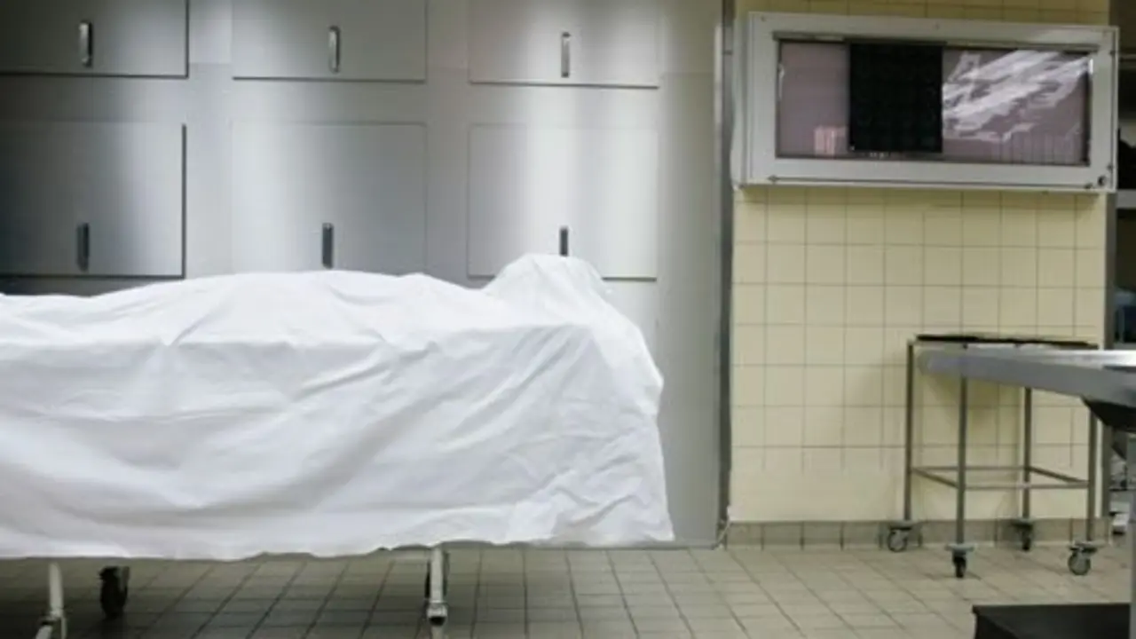 Imagen de referencia tomada de Marie Claire.