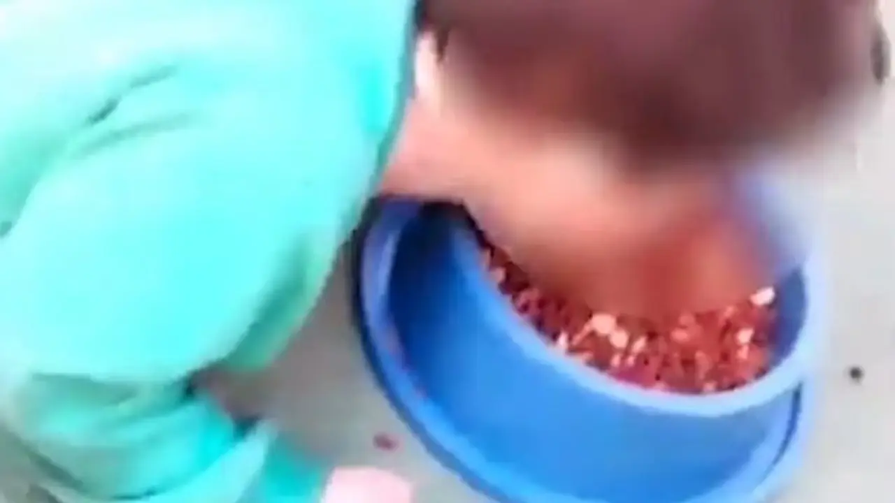 Foto: Cr&oacute;nica