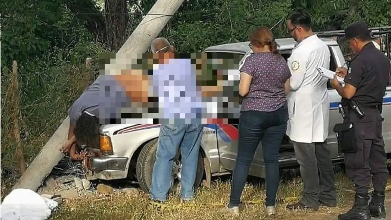 WhatsApp Image 2018-07-22 at 18.11.09