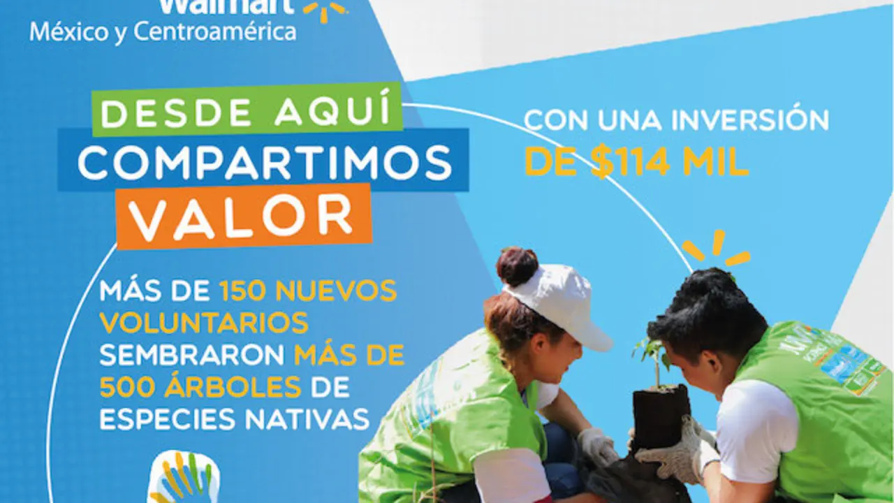 PERMANENTE Voluntariado Bicentenario-01