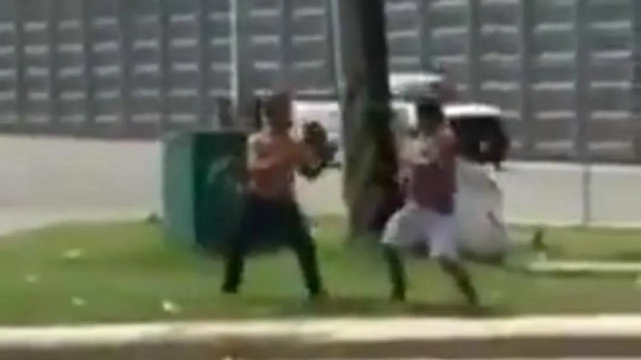 Imagen captura de pantalla del video