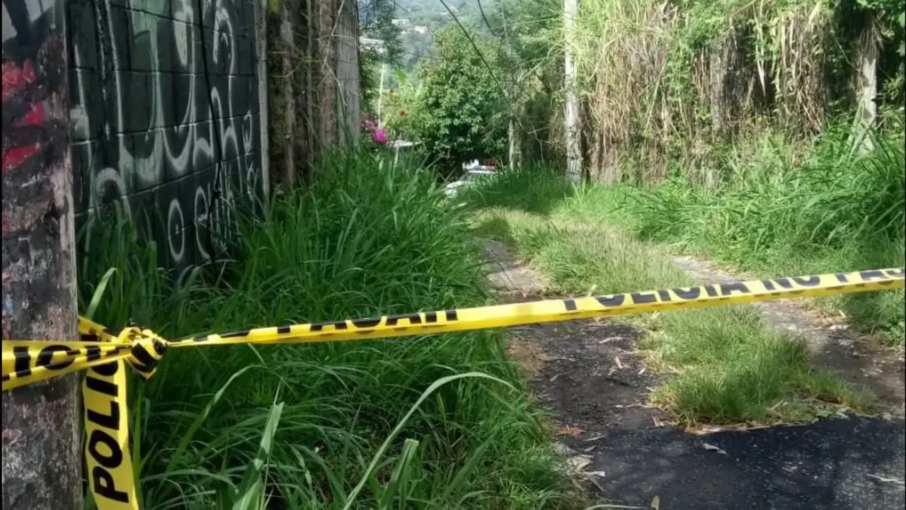Homicidio en Los Planes de Renderos