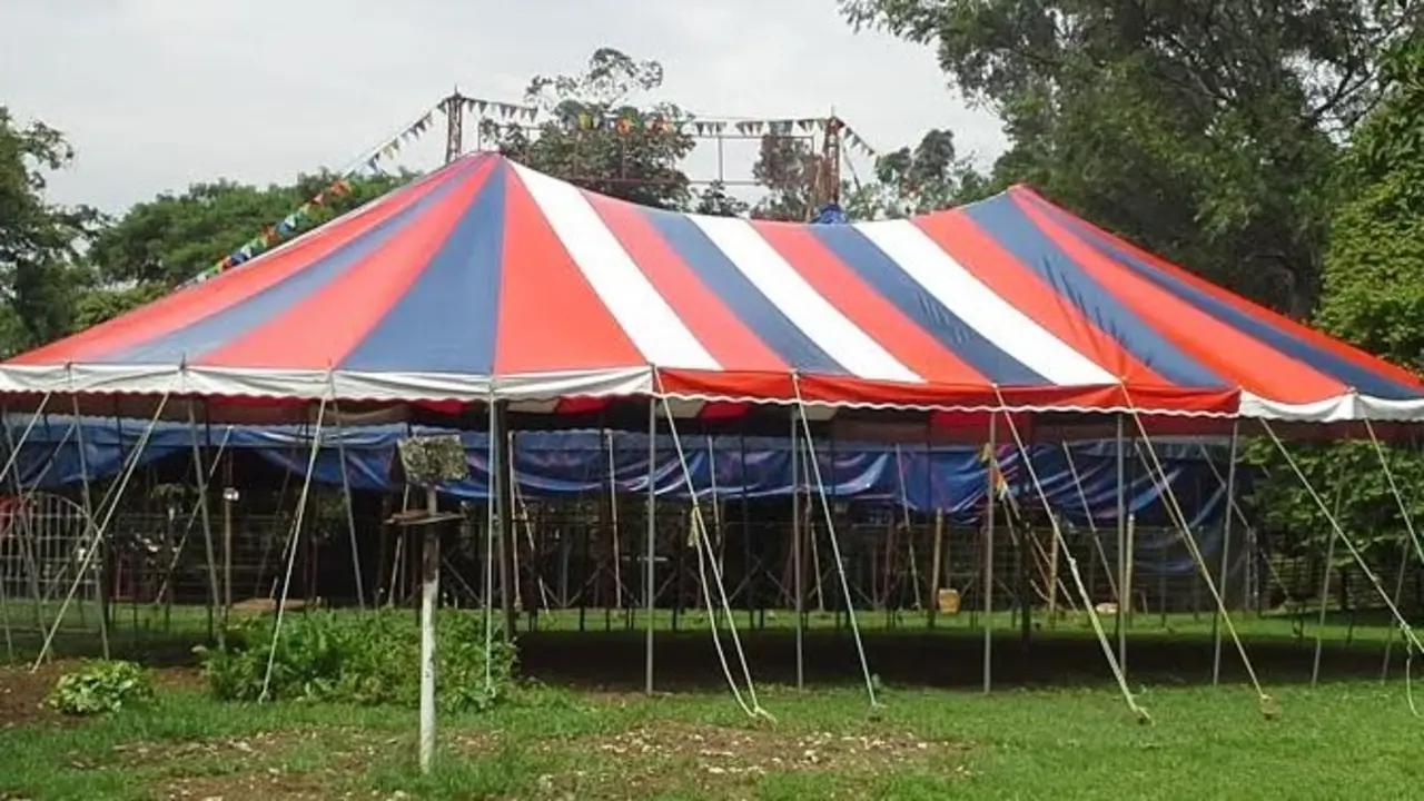&ldquo;Los del circo se han unido con la pandilla.", confes&oacute; una fuente policial.