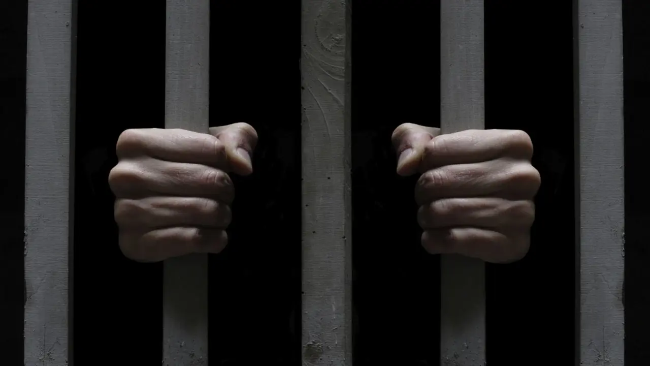 Imagen de referencia tomada de Impacto