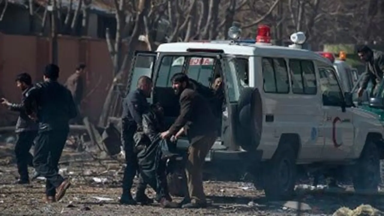 Imagen de referencia tomada de Amelia Rueda