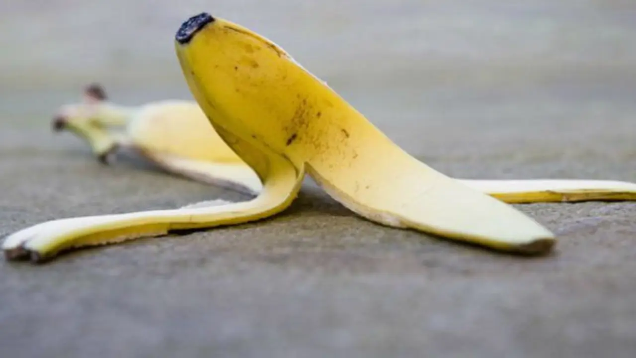 18310713258_d61725ee57_z