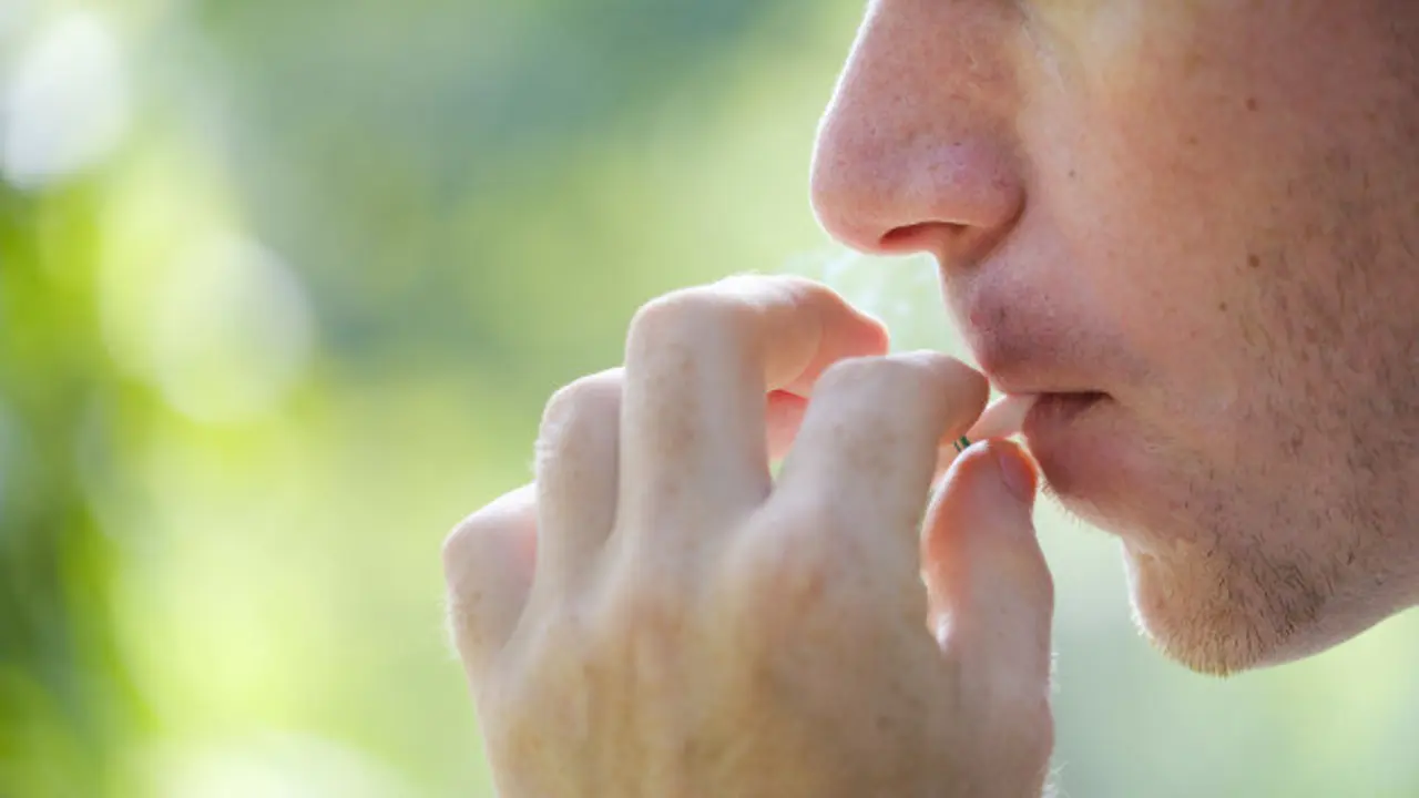 Imagen de referencia