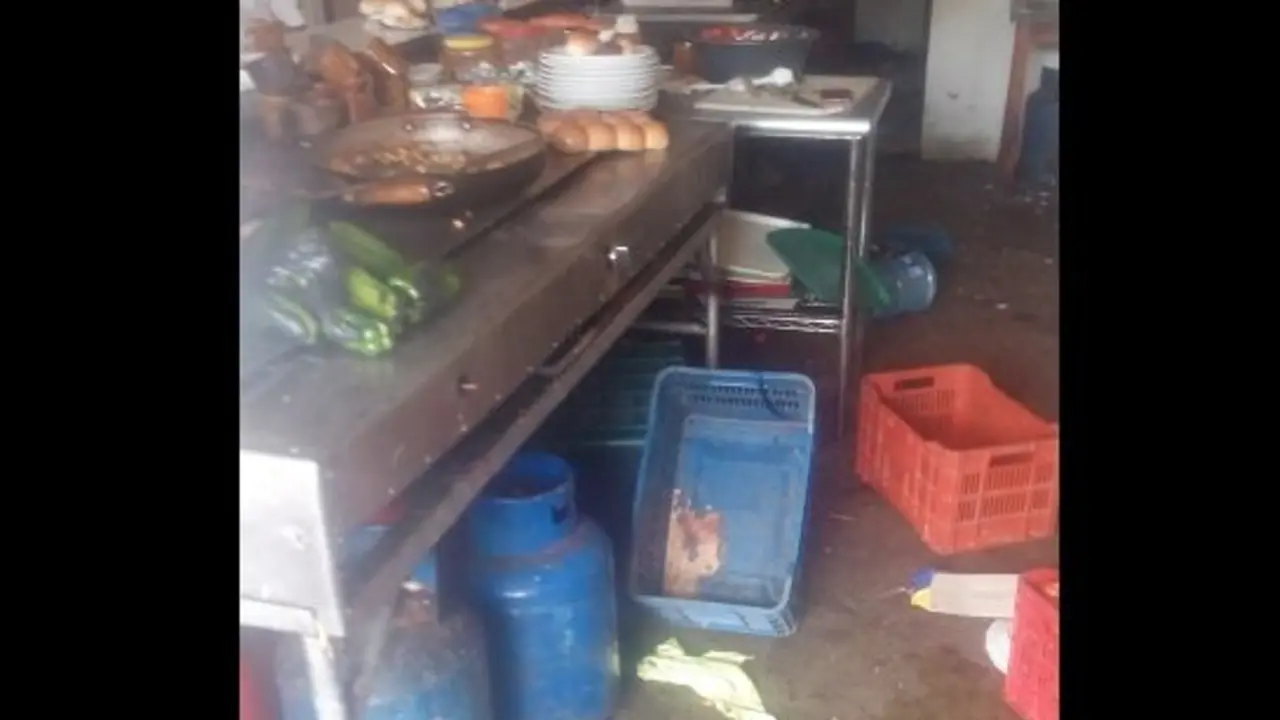 WhatsApp Image 2018-10-27 at 11.05.12