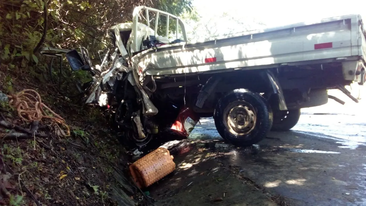 Cami&oacute;n blanco