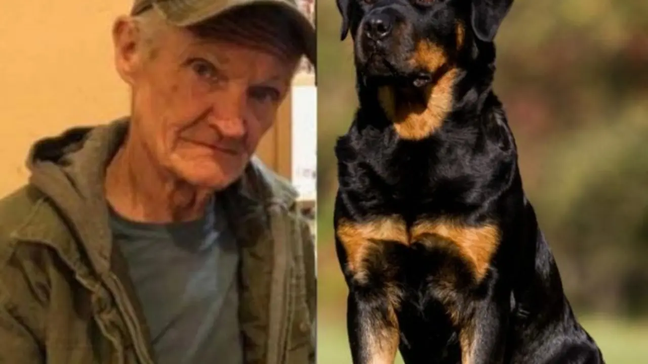 Foto tomada de Excelsior