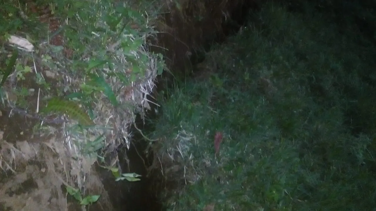 WhatsApp Image 2018-11-17 at 5.04.22 PM