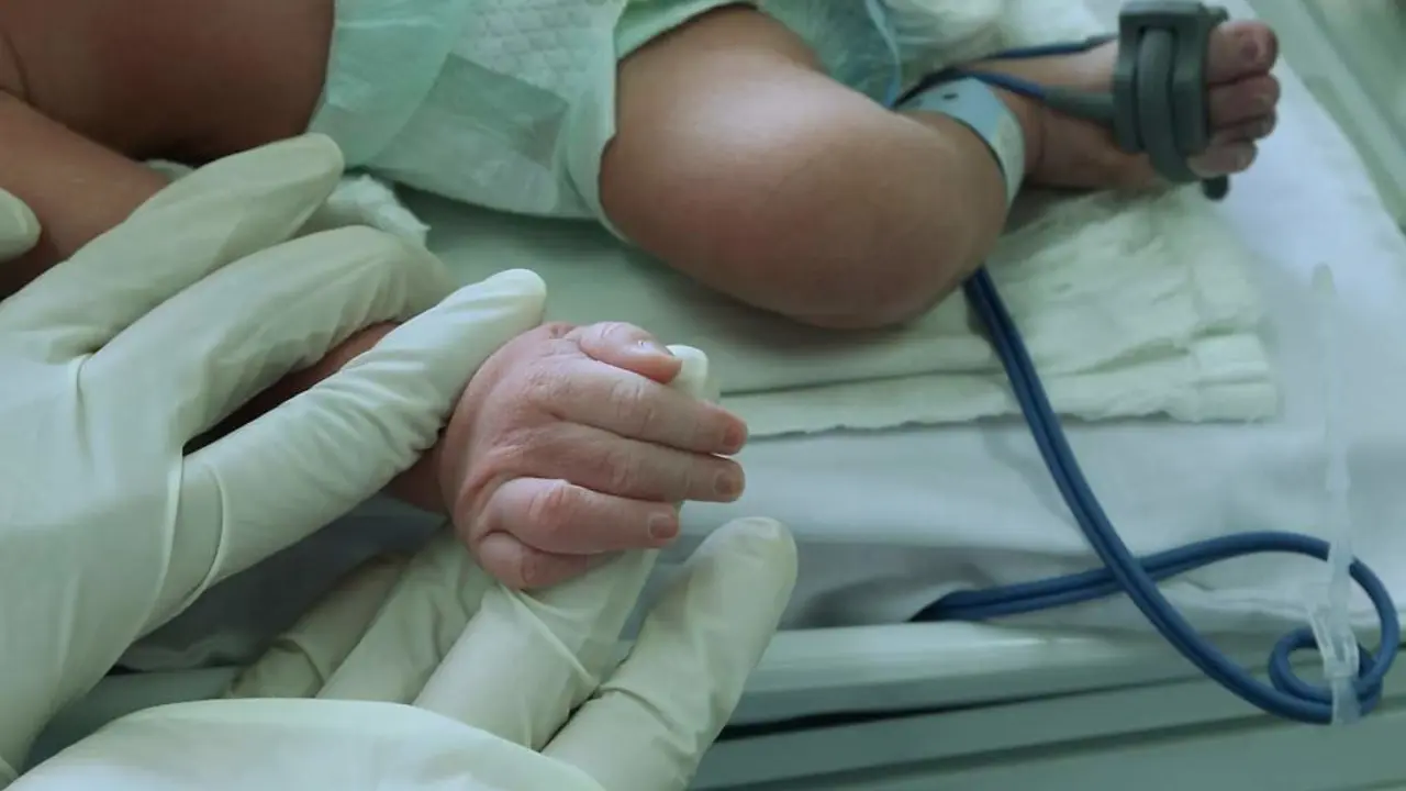 Imagen de referencia tomada de La Prensa de Honduras