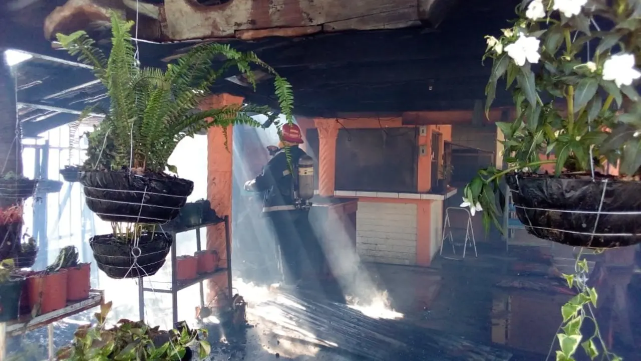 WhatsApp Image 2018-12-16 at 11.48.51 AM