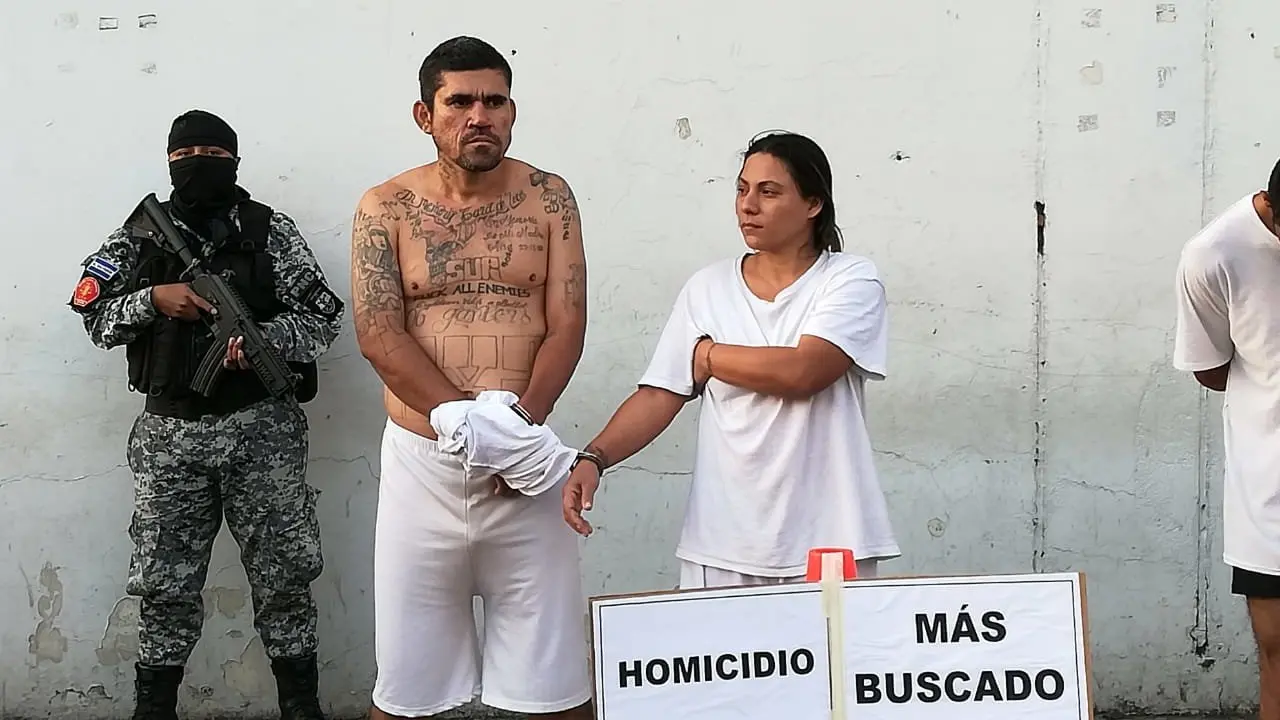 WhatsApp Image 2018-12-21 at 9.44.12 AM