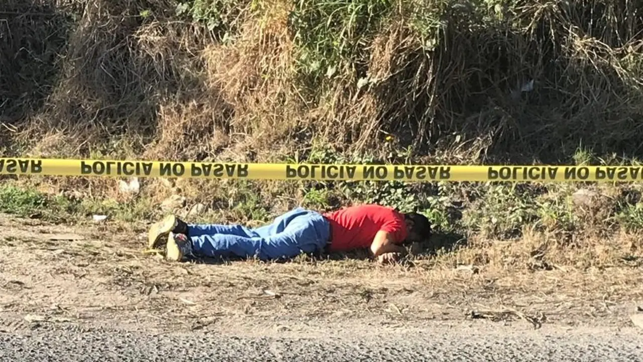 WhatsApp Image 2018-12-29 at 08.38.00