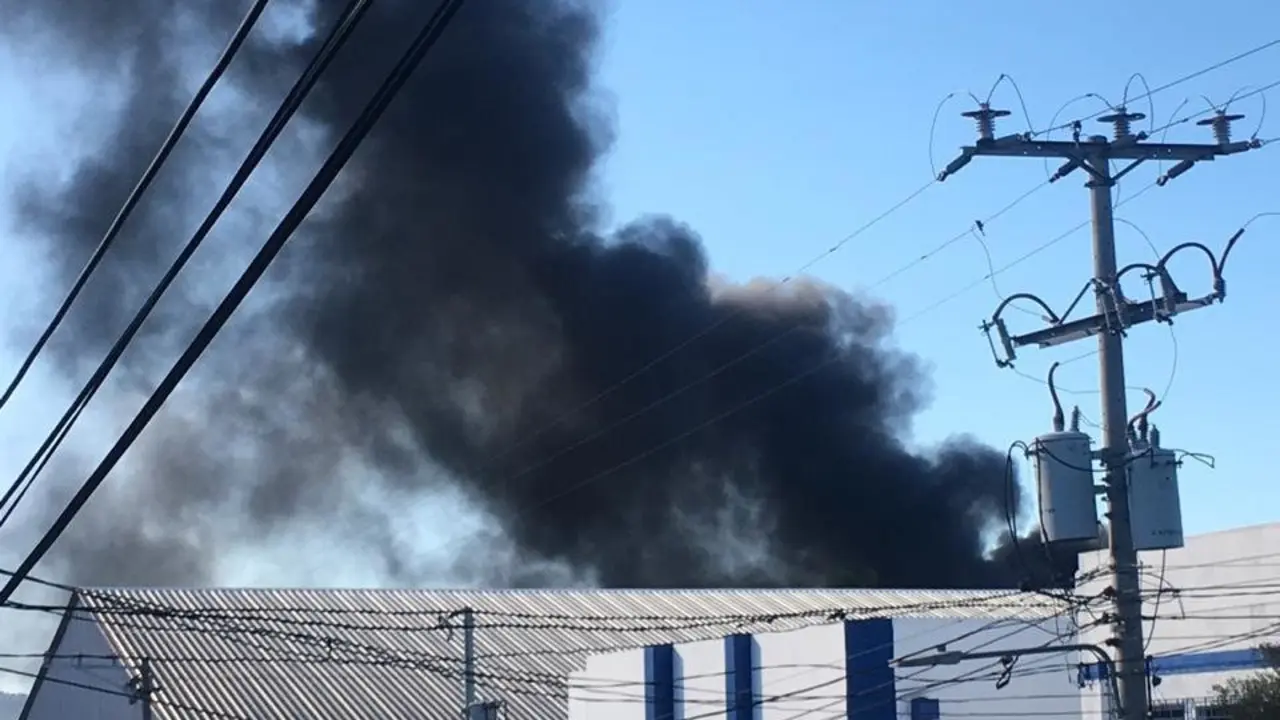 WhatsApp Image 2019-01-05 at 3.51.23 PM