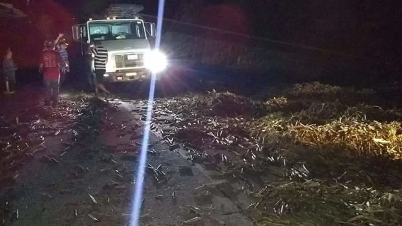 WhatsApp Image 2019-01-12 at 08.22.07