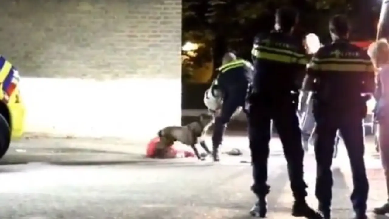 WhatsApp Image 2019-01-18 at 08.20.36