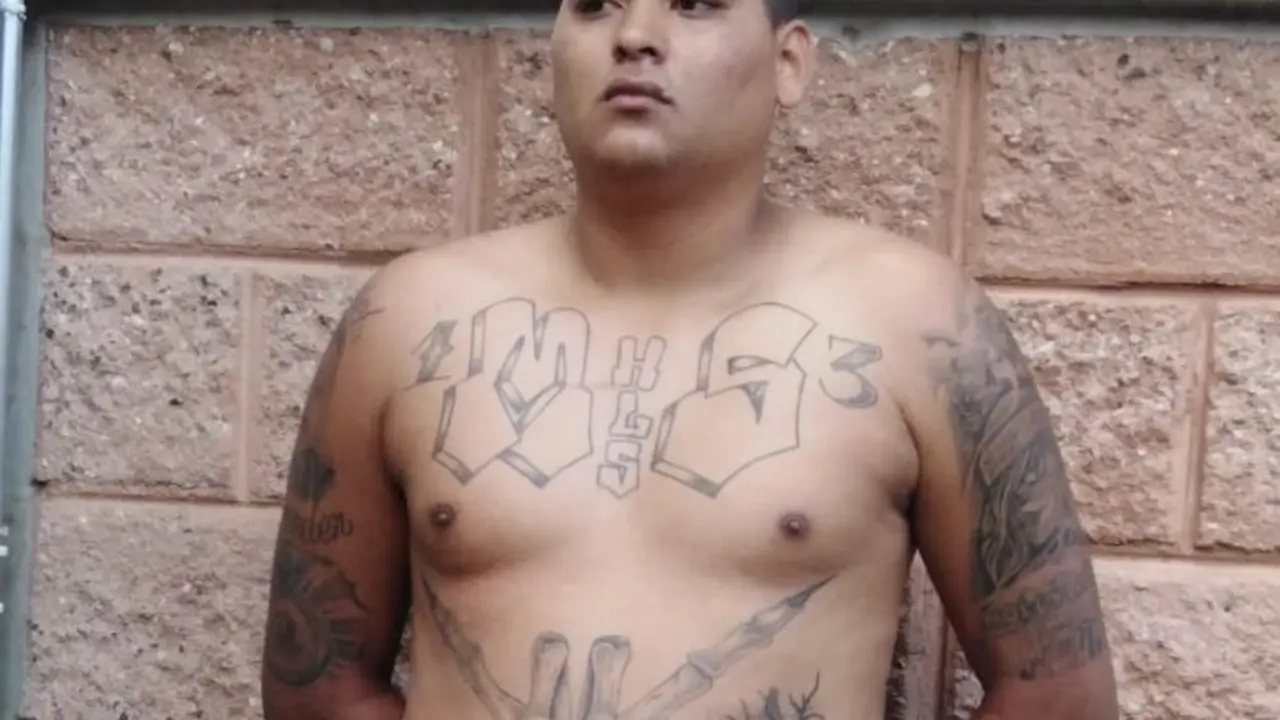 WhatsApp Image 2019-01-19 at 10.55.07