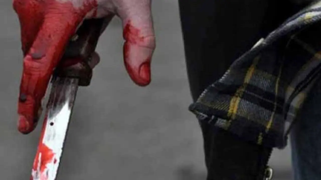 Imagen de referencia tomada de TN87