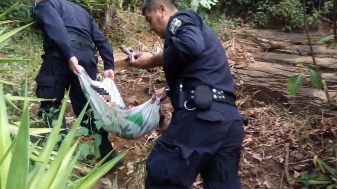 Ni&ntilde;o de Ataco