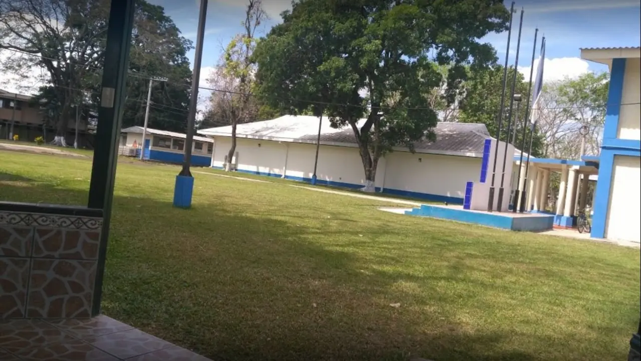 Comandos de Ingenieros