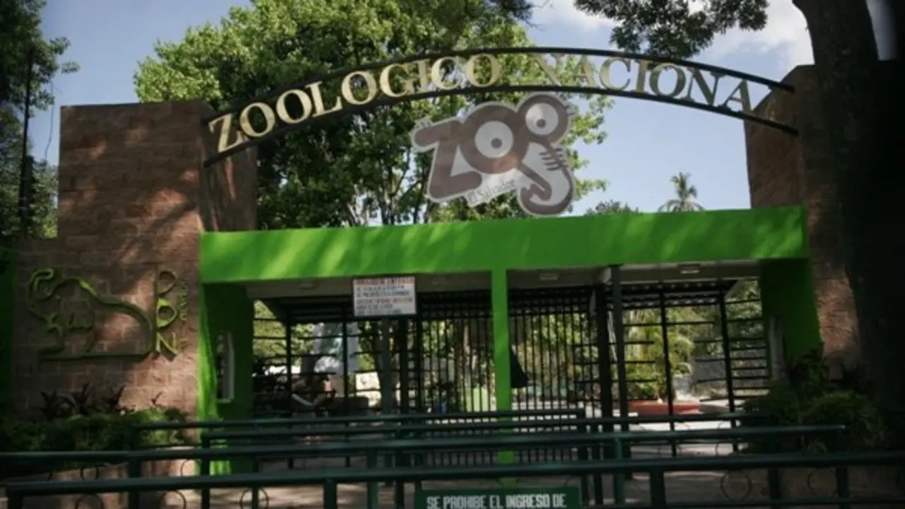 s&iacute; zoo 2