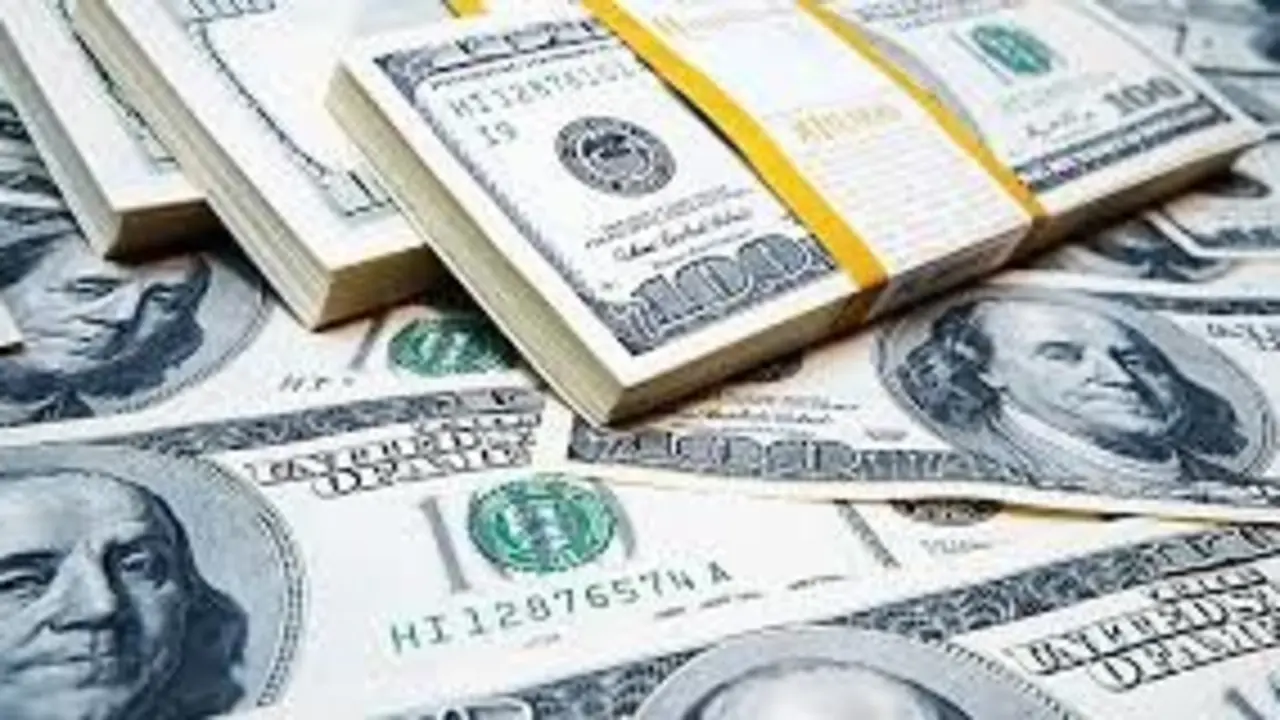 Estafa por millones de d&oacute;lares