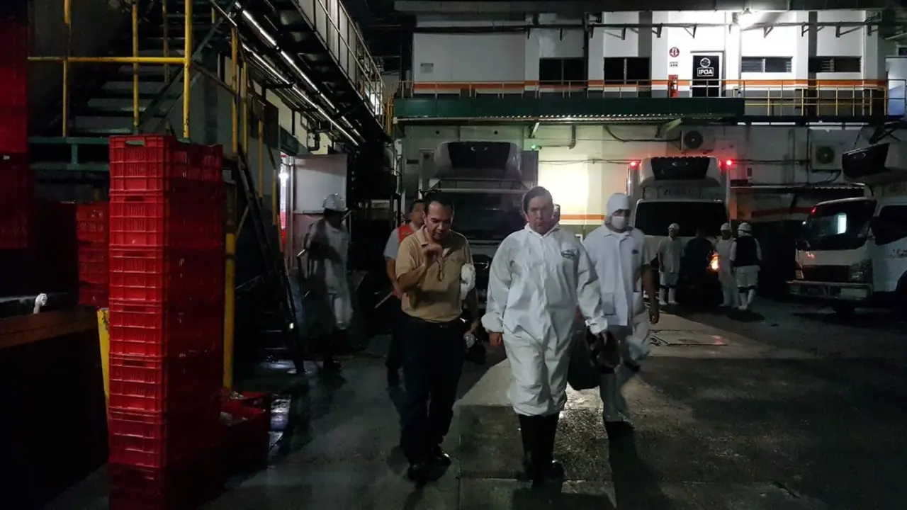 Avicola Salvadore&ntilde;a