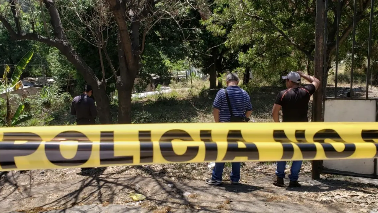 WhatsApp Image 2019-03-16 at 12.12.44 PM