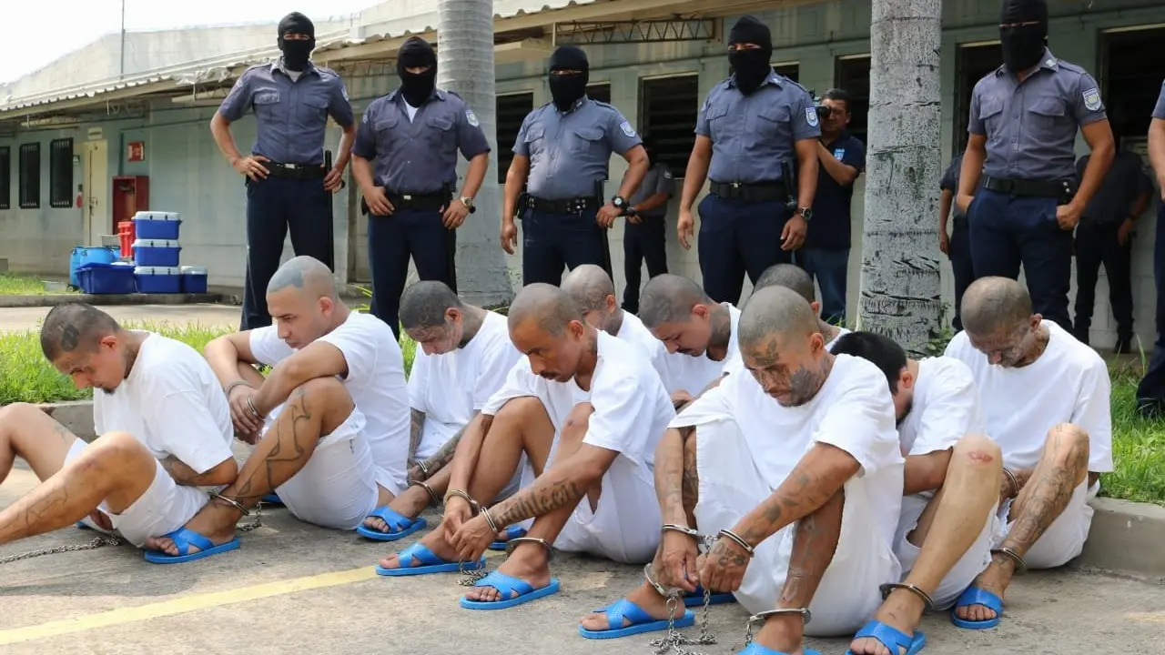 WhatsApp Image 2019-04-17 at 12.59.10 PM