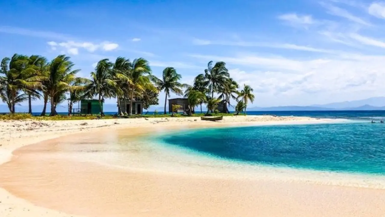 CAYOS COCHINOS PORTADA