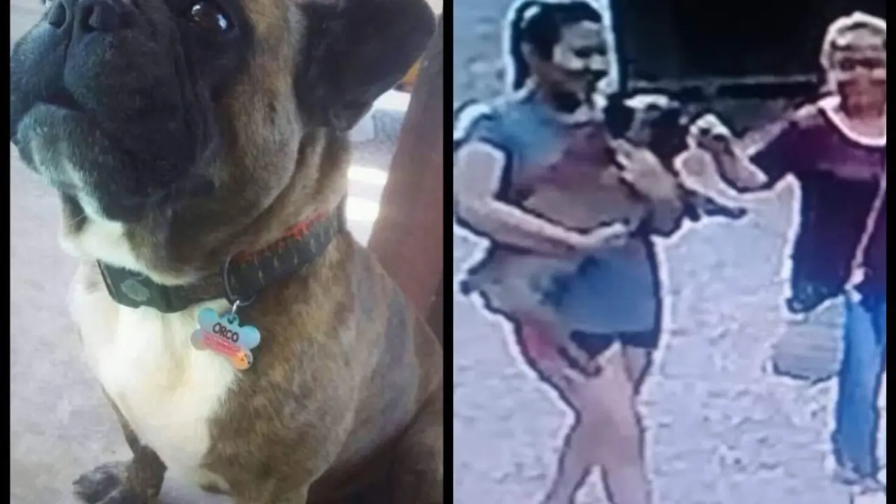 WhatsApp Image 2019-04-21 at 2.16.25 PM