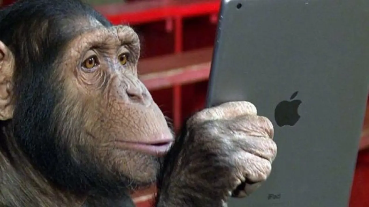 Imagen tomada de Cr&oacute;nica