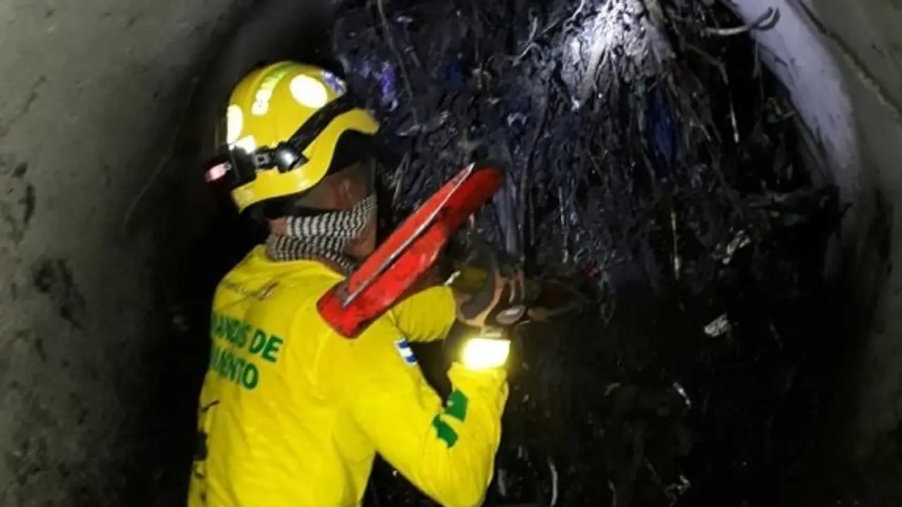 WhatsApp Image 2019-05-01 at 23.59.28