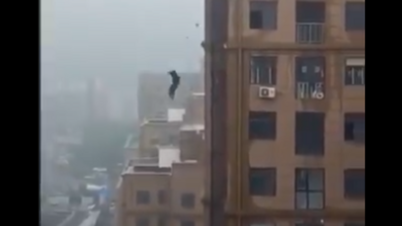 Imagen captura de pantalla del video