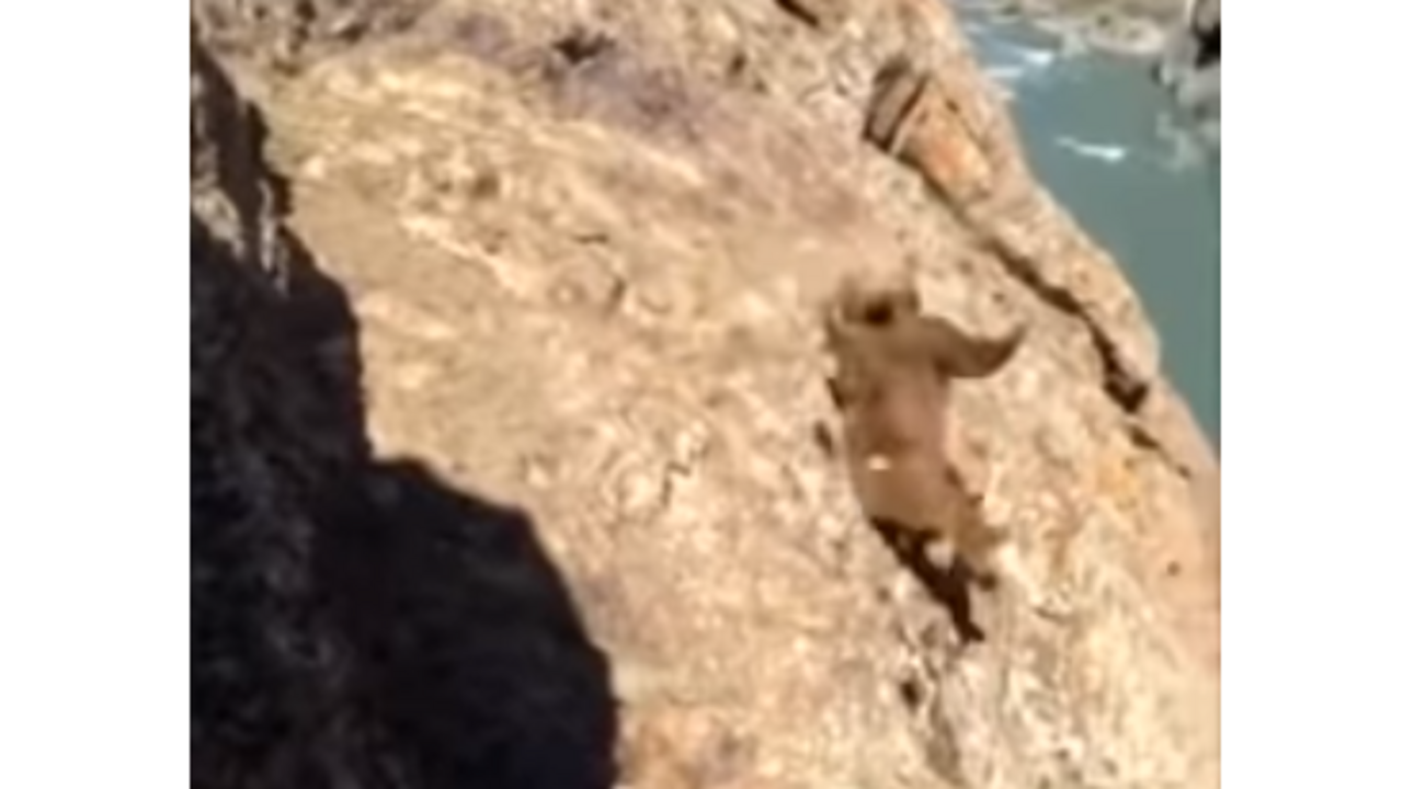 Captura de pantalla del video