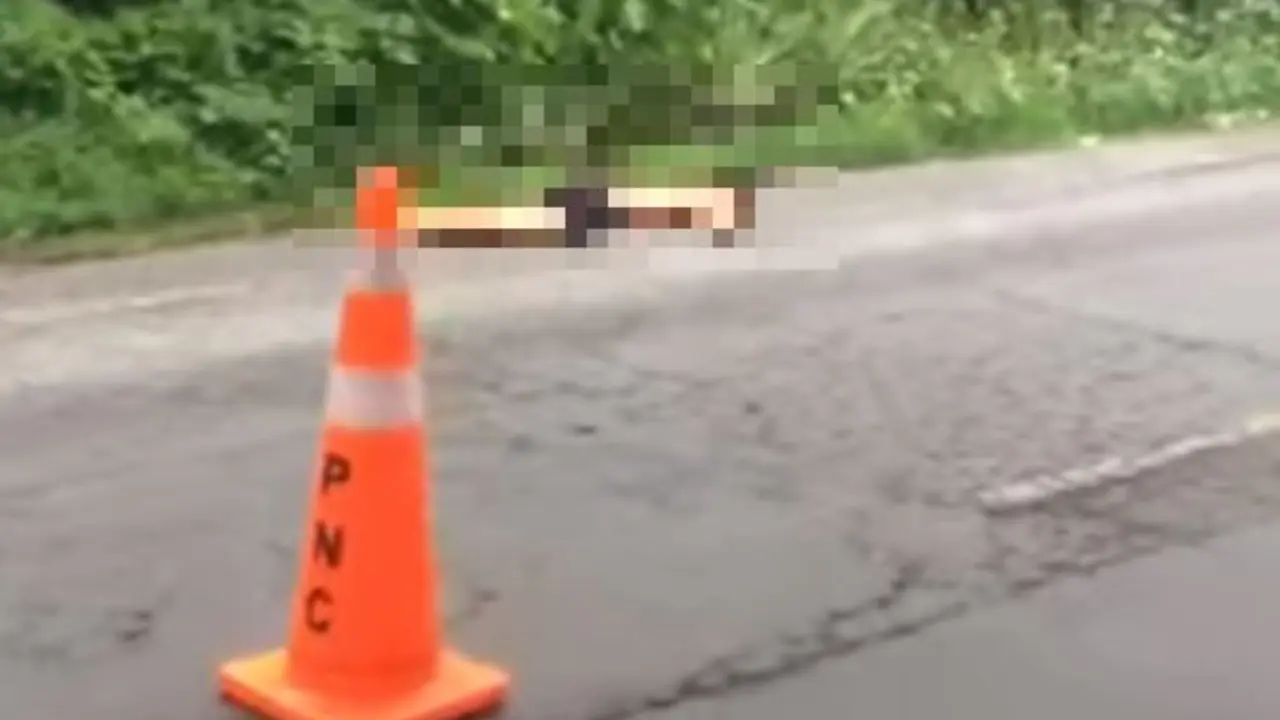 Atropellado en carretera a Santa Ana