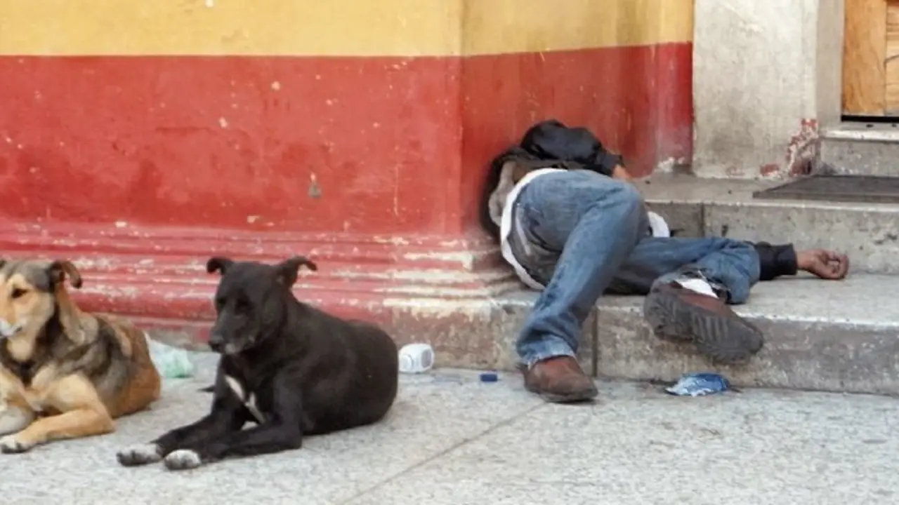 Borracho Prensa Libre de Honduras