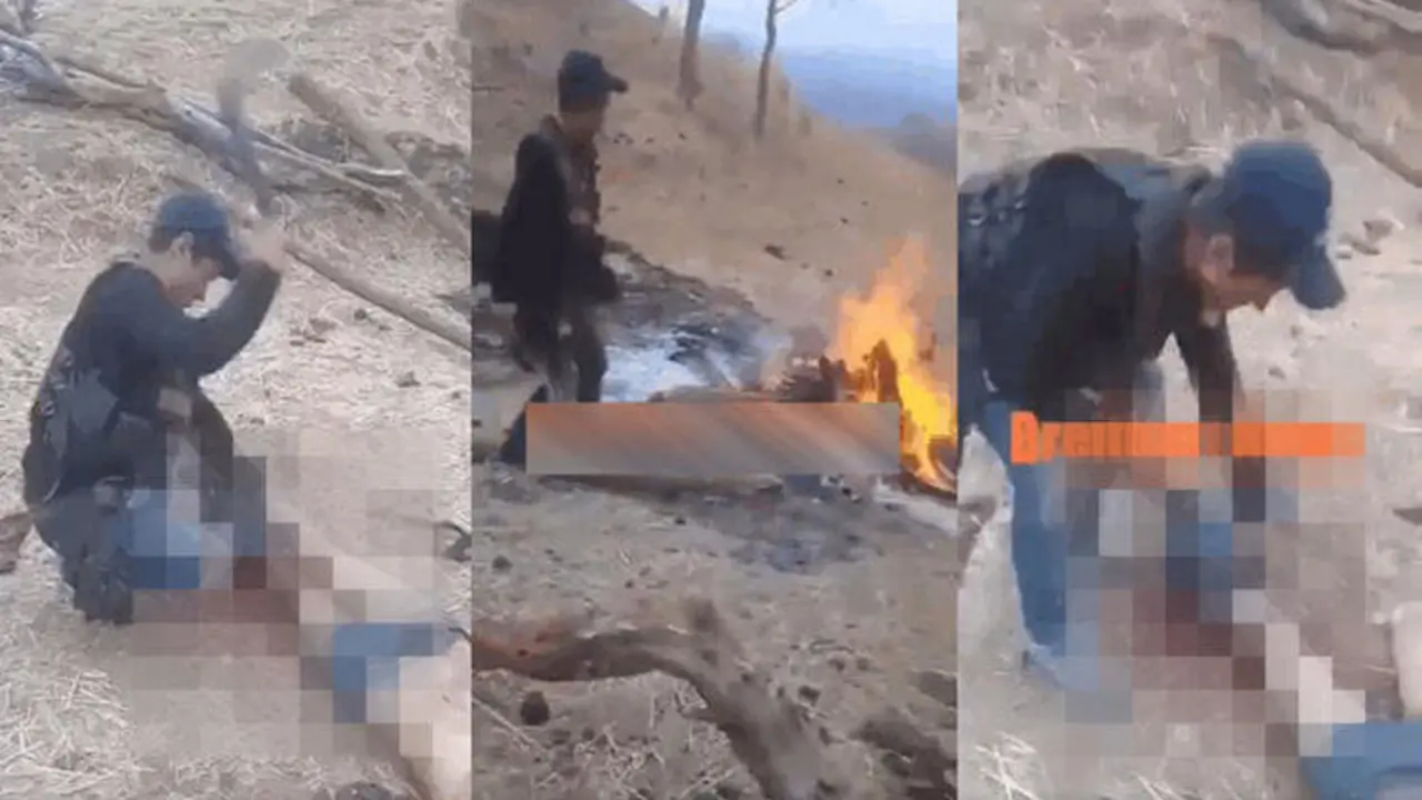 Descuertizado en M&eacute;xico