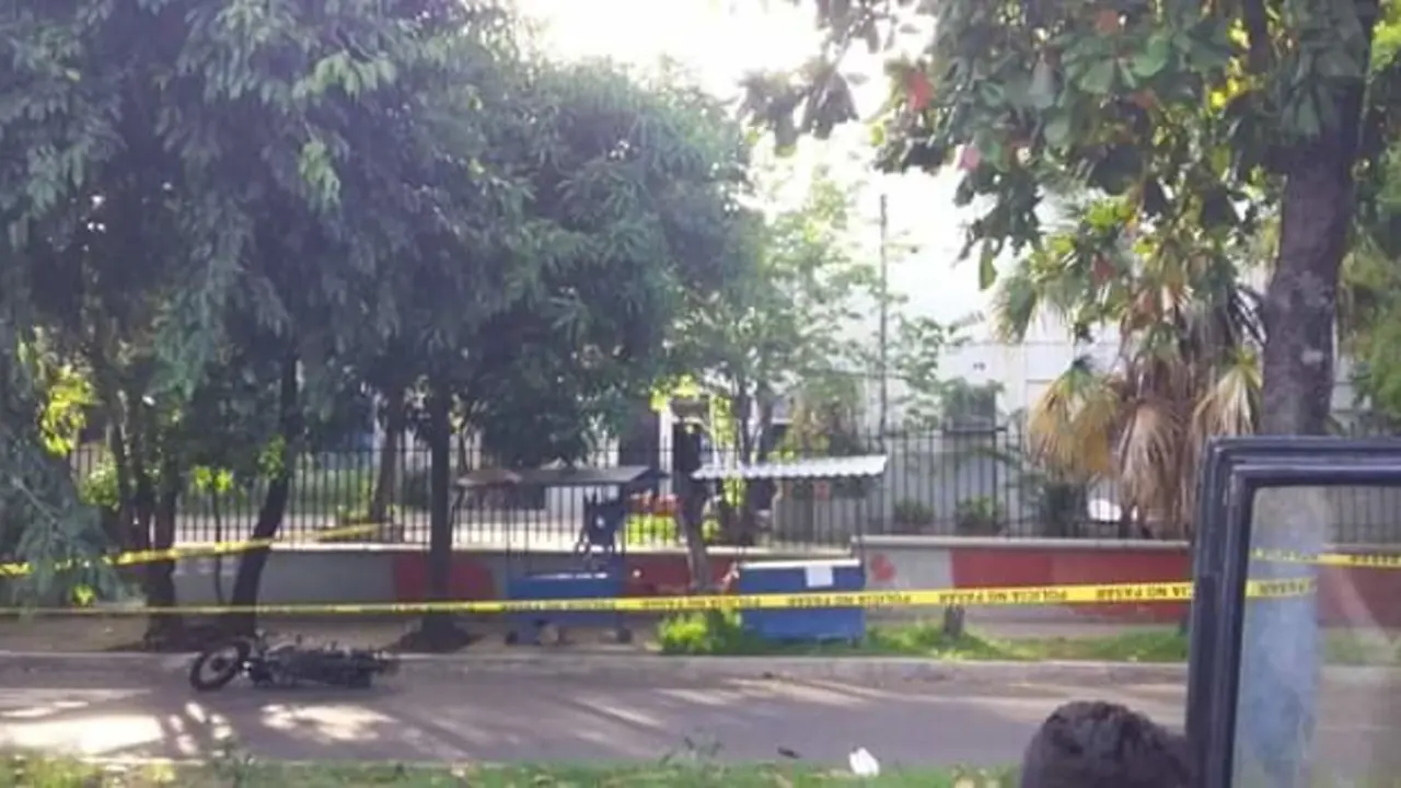 Estrellado contra un &aacute;rbol