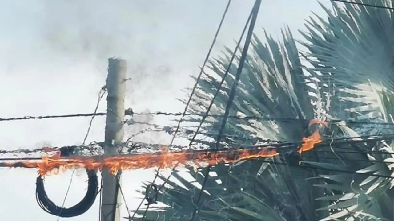 Cable de telef&oacute;nica 3