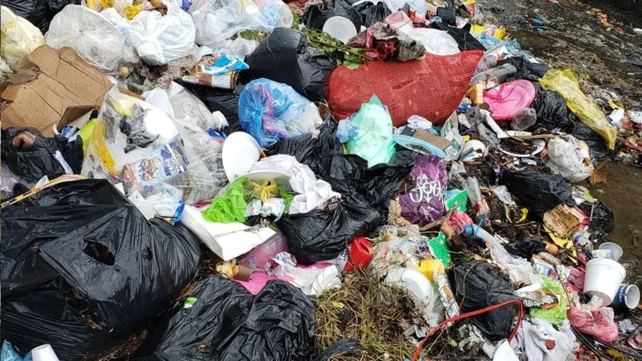 Rearto Las Ca&ntilde;as