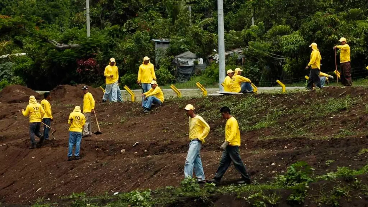 Reos en fase de confianza, trabajan en una granja penitenciaria en Santa Ana.