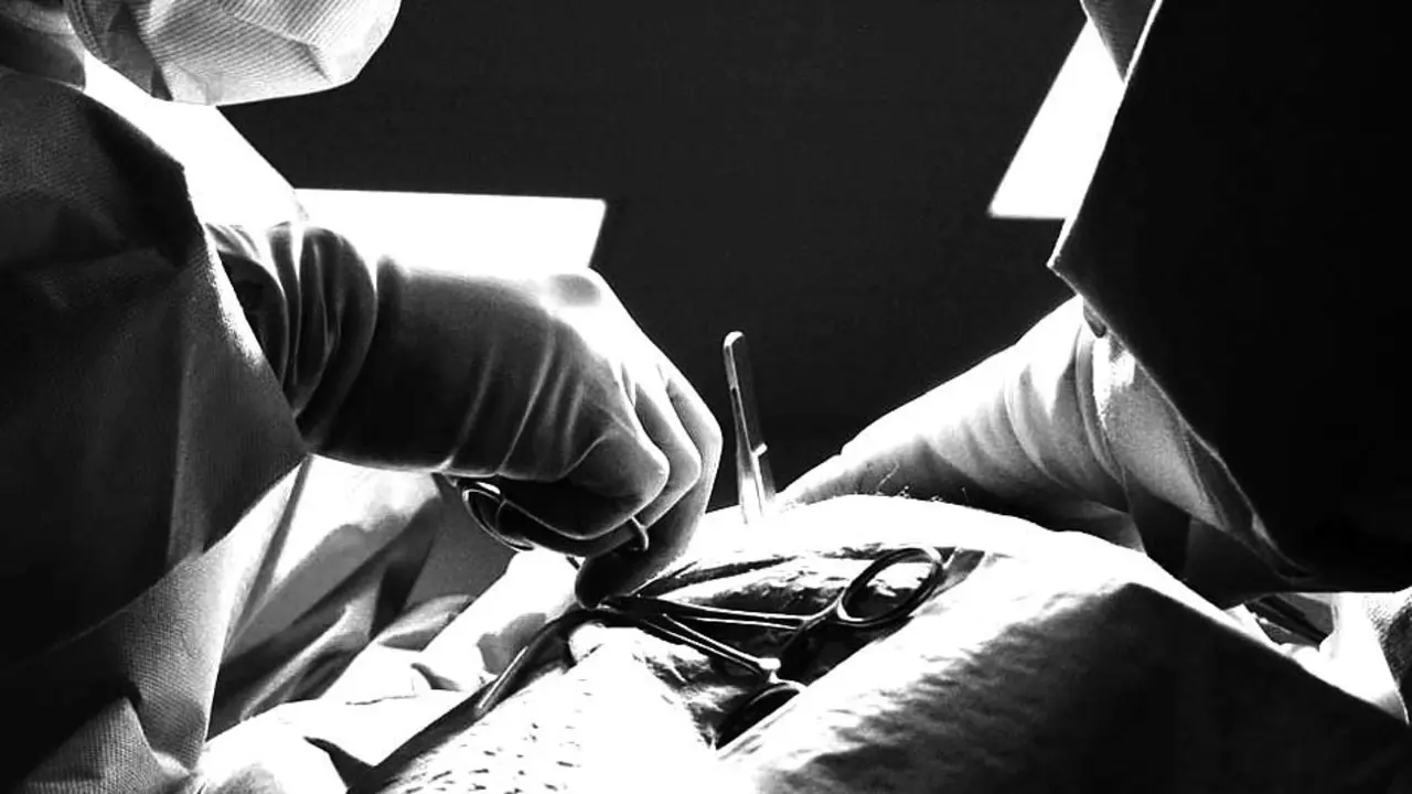 Tr&aacute;fico de &oacute;rganos 1