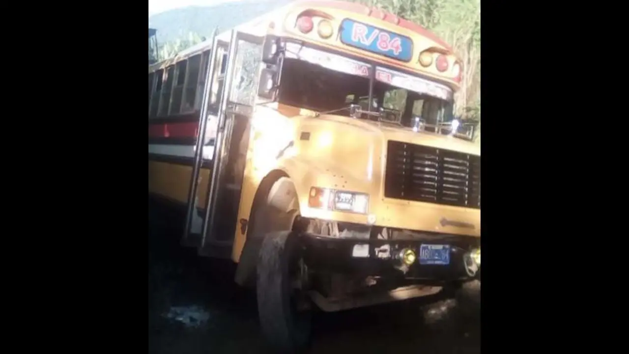Bus de la 84