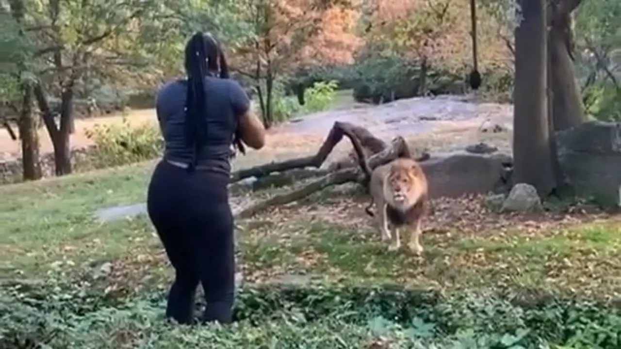 Mujer baila al le&oacute;n