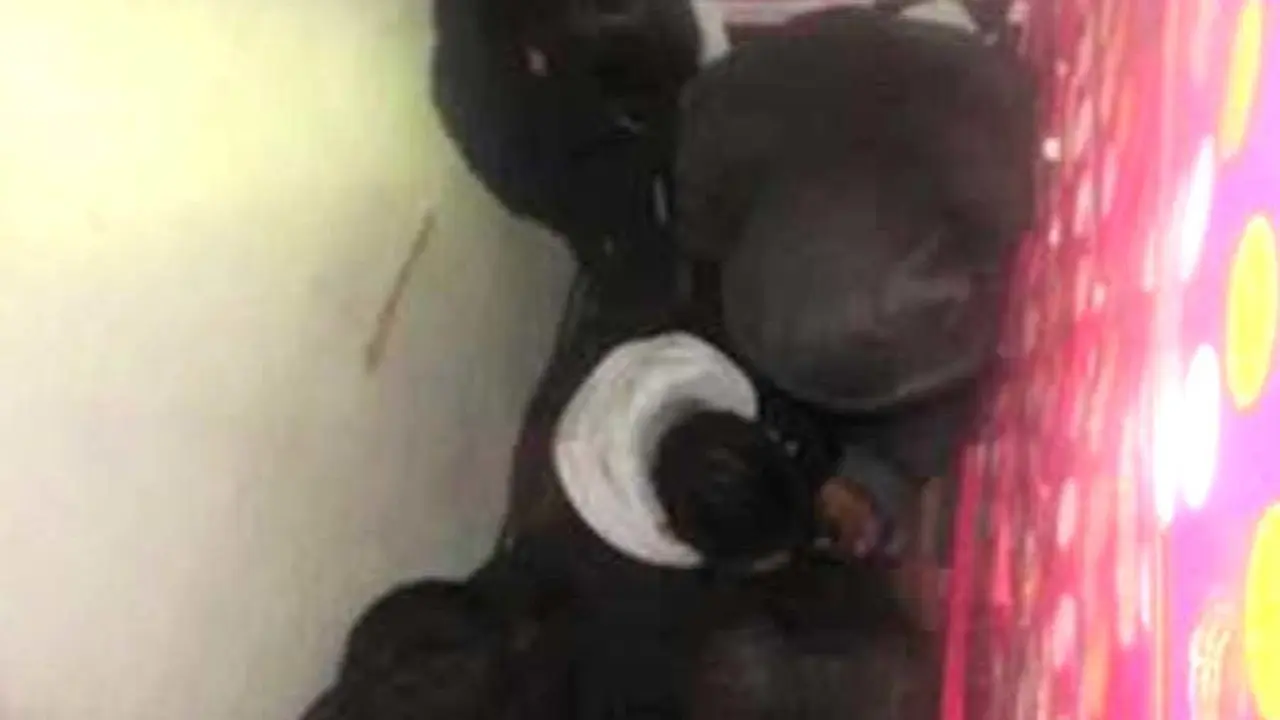 Salvadore&ntilde;os migrantes detenidos en Texas 3