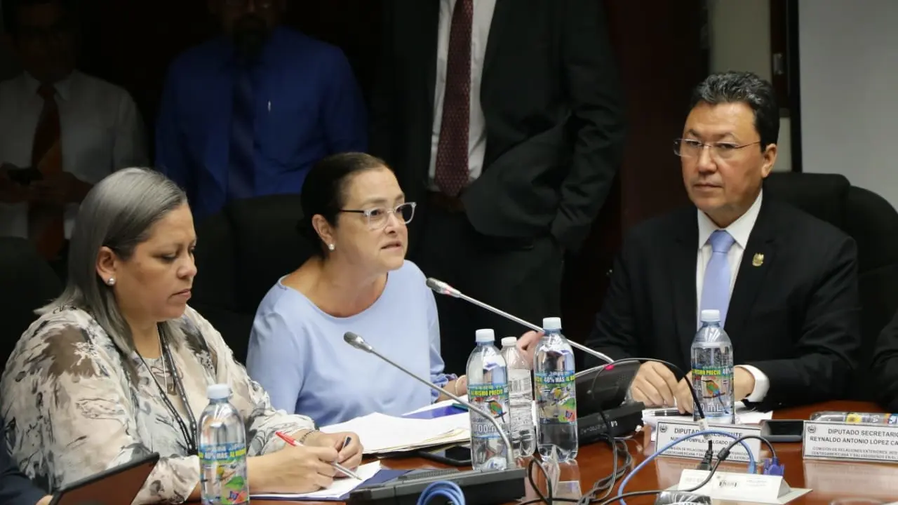 Alexandra Hill en la asamblea